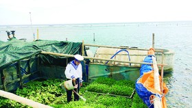 Nhịp sống Trường Sa