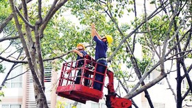Thiếu phương tiện tỉa cành, cắt nhánh cây trong mùa mưa bão