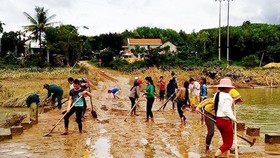 Nên khôi phục việc tổng vệ sinh ở nông thôn