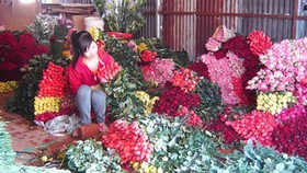 Giá hoa hồng tăng mạnh