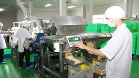 Ngành điều toàn cầu hướng đến sự ổn định