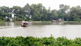 Xuôi dòng sông Vàm Cỏ