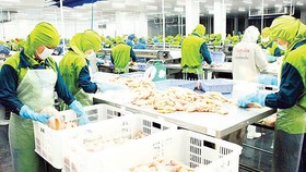 Hệ thống kiểm soát cá da trơn của Việt Nam tương đương với Hoa Kỳ
