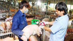 Hỗ trợ thiết bị và hóa chất xét nghiệm dịch tả heo châu Phi