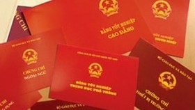 Xét xử nhóm sinh viên mua bán chứng chỉ giả