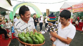 Bơ “khủng” hội tụ tại Đắk Nông