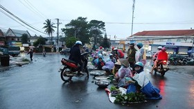 Chợ mọc giữa đường phố