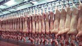 Việt Nam sẽ có thịt mát