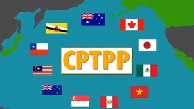 Việt Nam chính thức tham gia CPTPP từ hôm nay 12-11