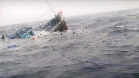 Sau khi đâm chìm tàu cá của ngư dân, tàu vận tải Hải Dương 19 bỏ chạy.(Ảnh minh họa)