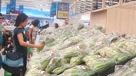 Vietnamese Goods Week open in Singapore