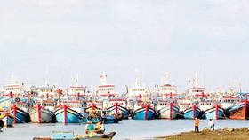 Construction of new seaport in Mekong Delta needs US$4.1 billion