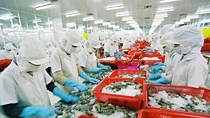 Many Vietnamese firms win export contracts to US