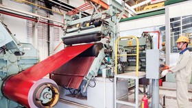 HSG và NKG lao dốc nhưng vẫn dò đáy