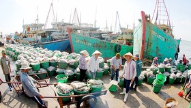 EC đánh giá cao nỗ lực khắc phục IUU của Bình Định