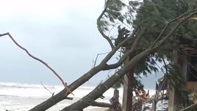 12 điểm sạt lở kéo dài 30km đe dọa hàng ngàn hộ dân tại Huế