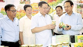 Phó Thủ tướng Vương Đình Huệ tìm hiểu các sản phẩm OCOP được giới thiệu tại hội nghị