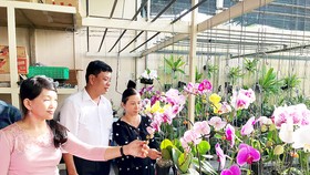 Đại diện HTX Hoa lan Huyền Thoại tham quan giới thiệu sản phẩm hoa lan cắt cành ở TP Cần Thơ