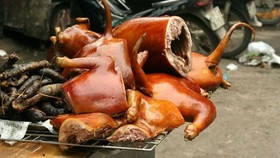 Một thói quen cần từ bỏ