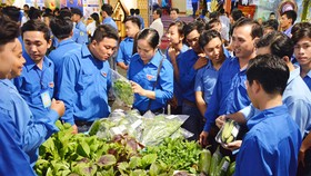 Đoàn viên thanh niên xứ dừa trao đổi kinh nghiệm khởi nghiệp, thoát nghèo Ảnh: HÀM LUÔNG