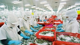 Đưa hàng Việt tiếp cận thị trường Mỹ