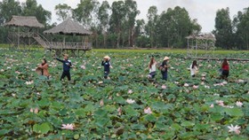 Du lịch Đồng Tháp phấn đấu đạt doanh thu 2.000 tỷ đồng