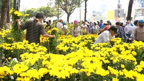 Người dân thưởng lãm các chợ hoa đầy sắc màu