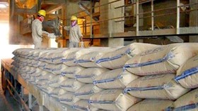 Năm 2019, ngành xi măng sản xuất gần 90 triệu tấn