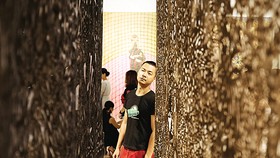 Họa sĩ Phạm Trần Việt Nam tại triển lãm