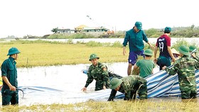 Các tỉnh ĐBSCL tích cực phòng chống lũ