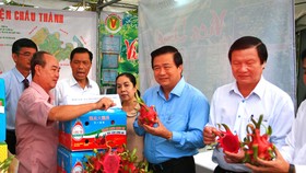 Đóng gói và chế biến thanh long xuất khẩu - thế mạnh của tỉnh Long An