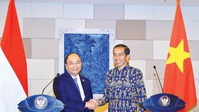 Thủ tướng Nguyễn Xuân Phúc hội đàm Tổng thống nước Cộng hòa Indonesia Joko Widodo bên lề Hội nghị IMF-WB