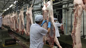 Dây chuyền sản xuất ở Công ty Vissan