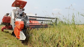 Định vị sản phẩm nông nghiệp