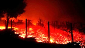 Cháy rừng lịch sử ở California, ít nhất 42 người chết