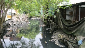 Rạch Bàu Trâu bị ô nhiễm nặng