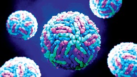 Phát hiện protein có thể ngăn chặn Ebola