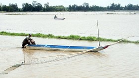 Mekong flooding rising quickly to warning level two