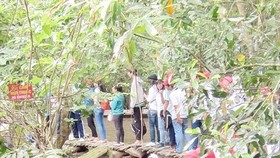 Students visit Xeo Quyt in Dong Thap province Photo: SGGP