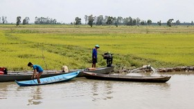 water levels in Mekong river can rise up on October 10 -Photo: SGGP
