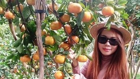 Agri-tourism products to lure more visitors