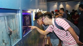 Visitors browse ornamental fish at a fair held in HCM City. (Photo: VNA)