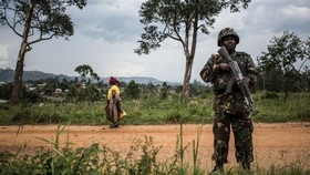 Eight UN peacekeepers killed in eastern DR Congo