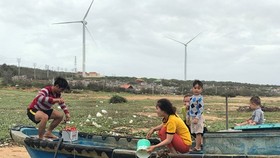 Binh Thuan’s fishermen sailing back to sea after typhoon