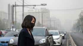 Much of the climate action financing is being set aside for reducing greenhouse gas emissions, notably through development of renewable energy strategies. — AFP/VNA Photo