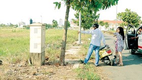 Violations found at Alibaba Company (HCMC): Dong Nai authority 
