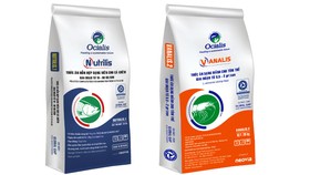 Neovia Vietnam được cấp chứng nhận đạt tiêu chuẩn BAP