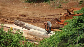 Tăng cường phòng chống khai thác, vận chuyển gỗ trái phép