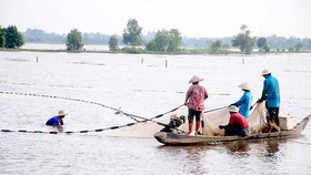 Tây Ninh bố trí bí thư, chủ tịch UBND huyện không phải là người địa phương