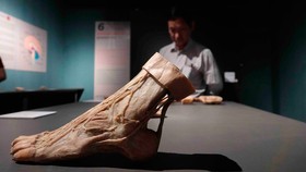 Nỗ lực minh bạch thị trường mỹ thuật